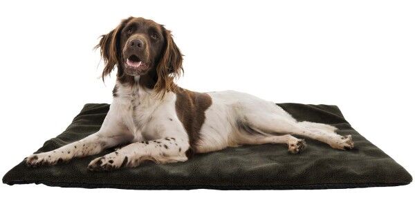 AKAH NaturVital Hunde-Thermobett 100 x 120 cm