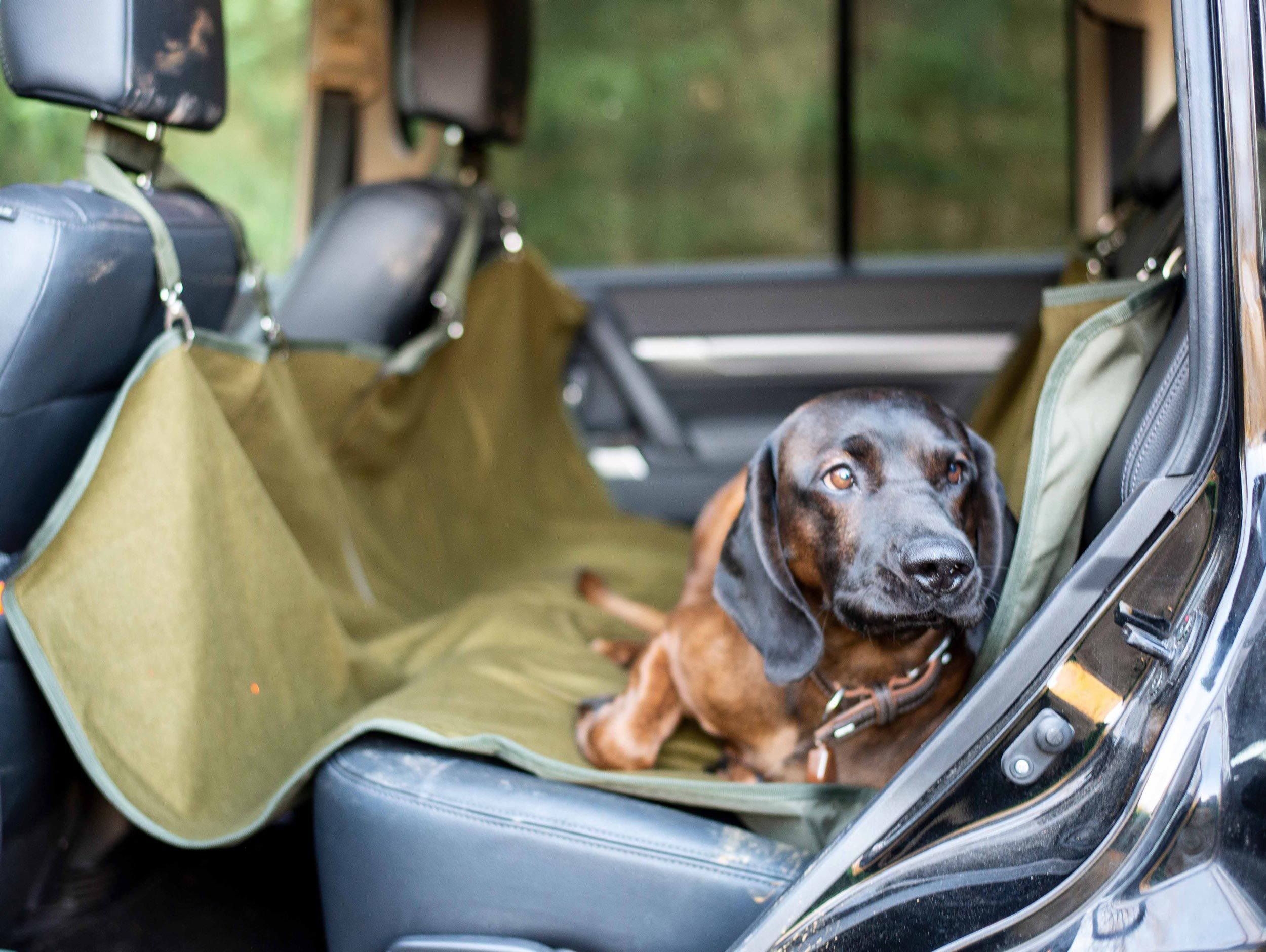 JAGD & FREIZEIT - Autositzbezug für Rückbank - Auto Hundedecke