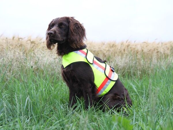Hundesignalweste mit GPS Tasche und Schließe