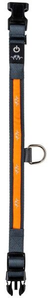 Blaser Halsband LED (orange)